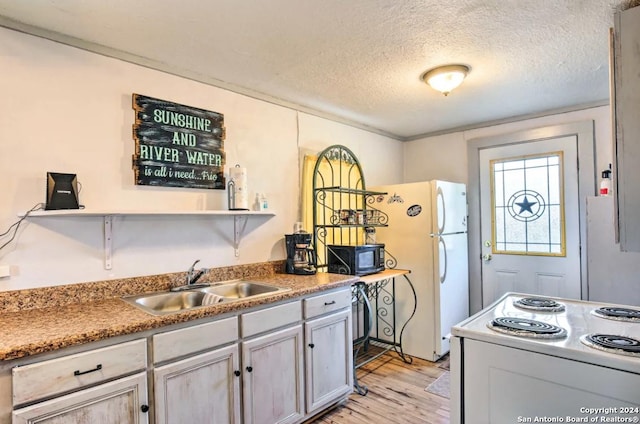 kitchen with white appliances, light wood-style flooring, a textured ceiling, open shelves, and a sink