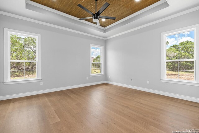 spare room featuring crown molding, light wood-type flooring, and a tray ceiling