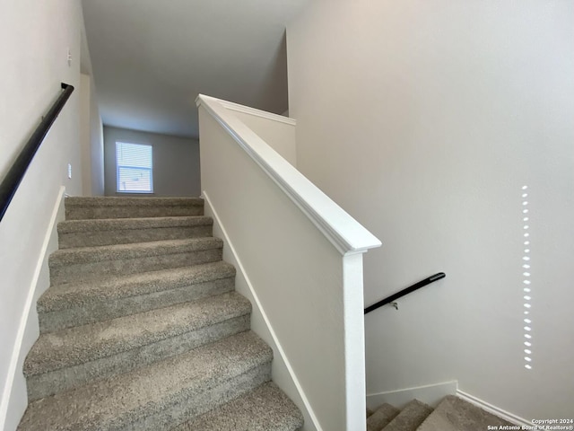 stairway featuring carpet floors