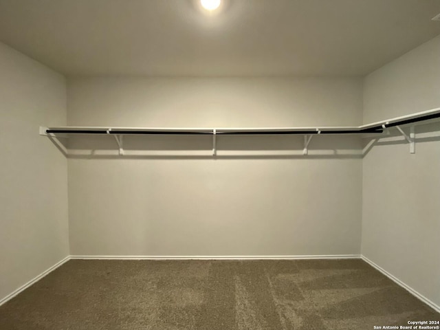 spacious closet featuring dark colored carpet