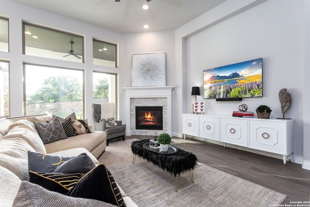 living room featuring a fireplace and dark wood-type flooring