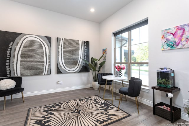 interior space featuring hardwood / wood-style floors