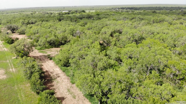 0 6th St, Christine TX, 78064 land for sale