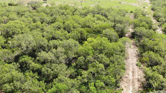 0 10th St, Christine TX, 78064 land for sale