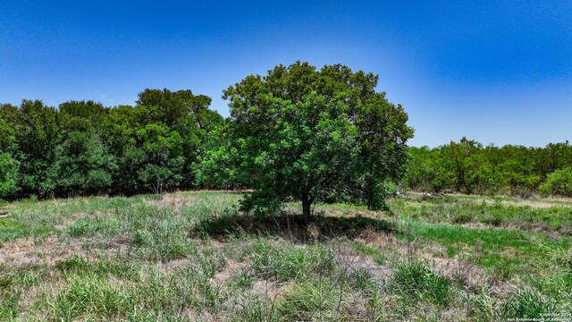 2318 Warncke Rd, La Vernia, TX 78121
