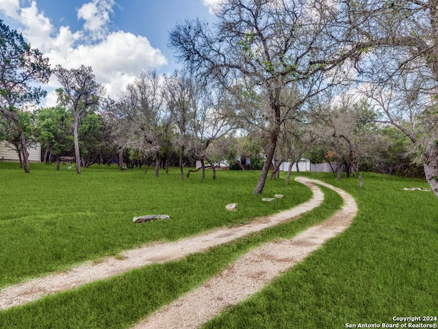 view of community with a yard