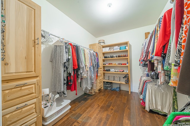 spacious closet featuring dark hardwood / wood-style flooring