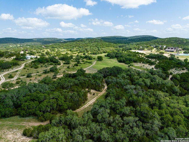 drone / aerial view featuring a mountain view