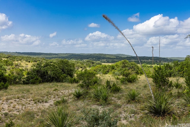 view of mountain feature