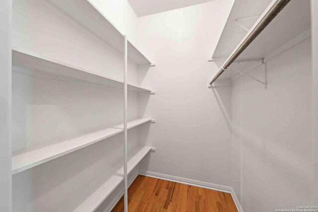 walk in closet with wood-type flooring