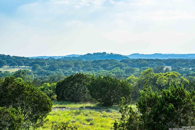 view of mountain feature