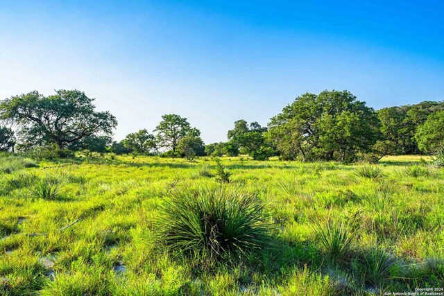 view of landscape