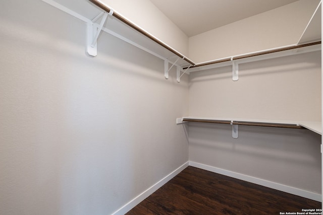 spacious closet with dark hardwood / wood-style flooring