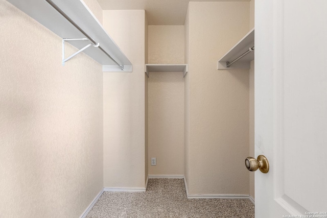 spacious closet featuring carpet flooring