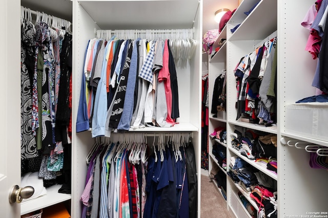 spacious closet with carpet flooring