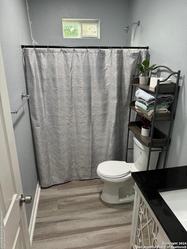 bathroom with hardwood / wood-style floors, vanity, and toilet