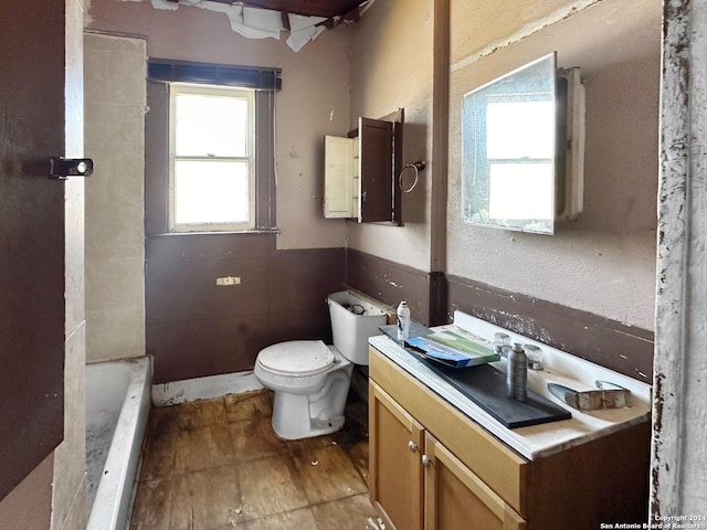 bathroom with plenty of natural light, toilet, a tub, and vanity