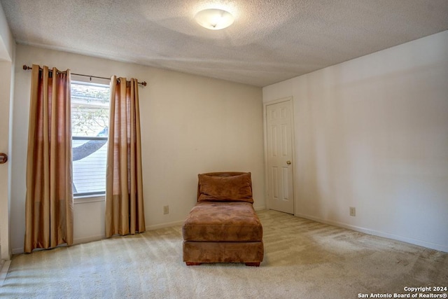 unfurnished room with carpet flooring and a textured ceiling