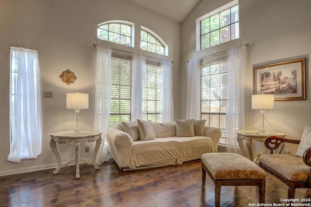 living room with high vaulted ceiling and hardwood / wood-style flooring