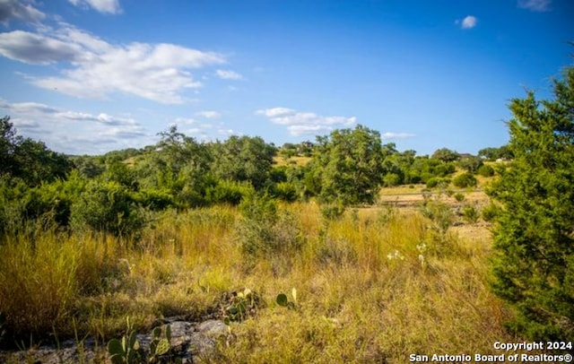 view of local wilderness