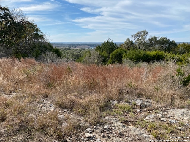 view of nature