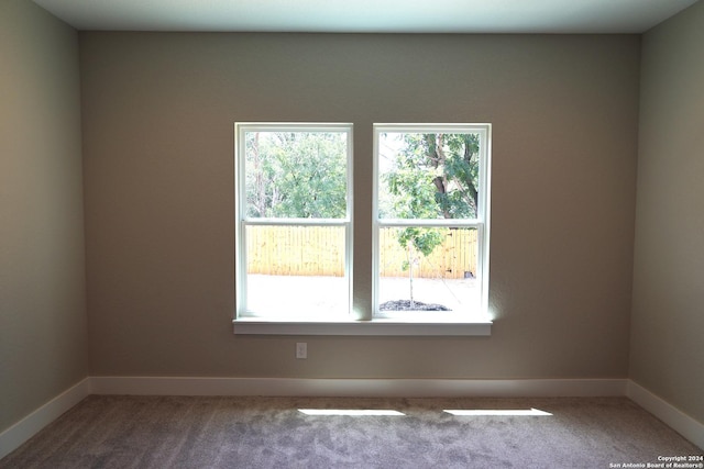 empty room with carpet flooring and a wealth of natural light