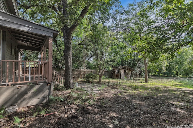 view of yard with a storage shed