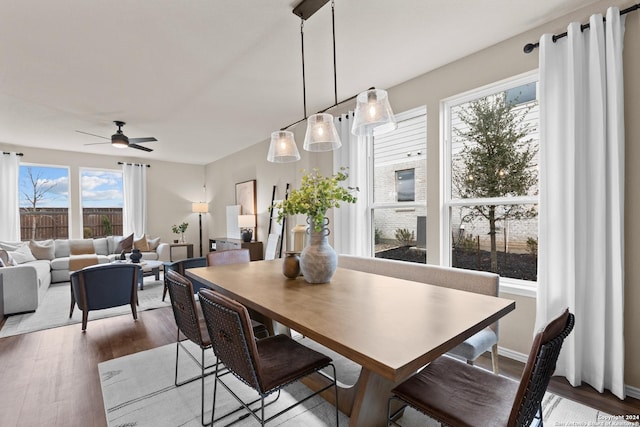 dining area with light hardwood / wood-style floors and ceiling fan