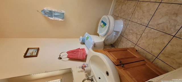 bathroom with a sink and toilet