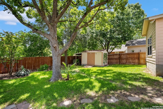 view of yard featuring a shed