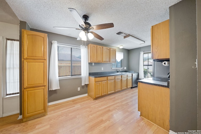 kitchen with dishwasher, light hardwood / wood-style floors, a textured ceiling, and ceiling fan