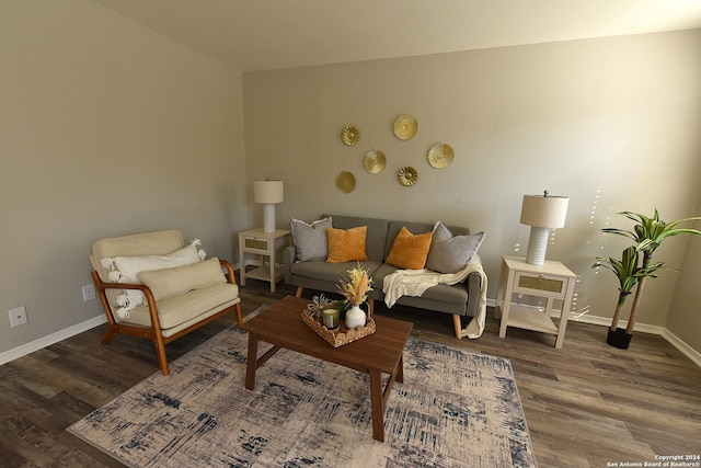 living room featuring dark wood-type flooring