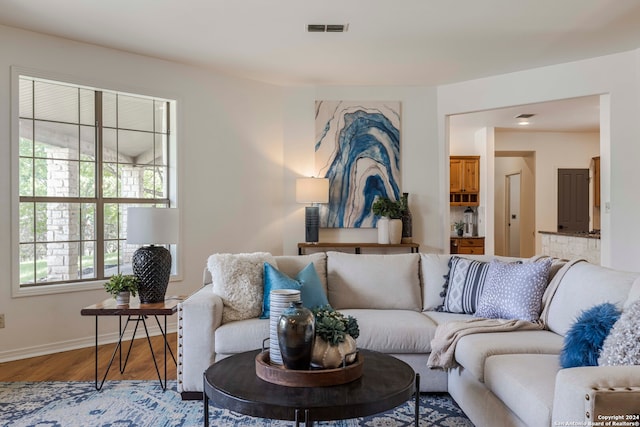 living room featuring hardwood / wood-style flooring