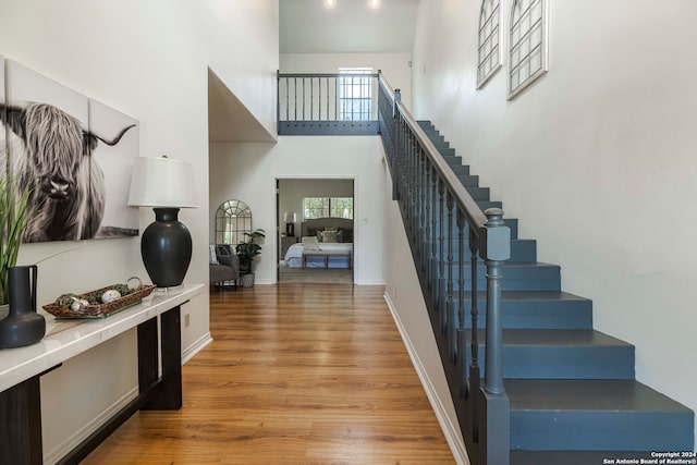 entryway featuring a high ceiling and light hardwood / wood-style flooring