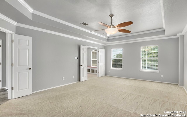 spare room featuring light colored carpet, ceiling fan, a raised ceiling, and crown molding