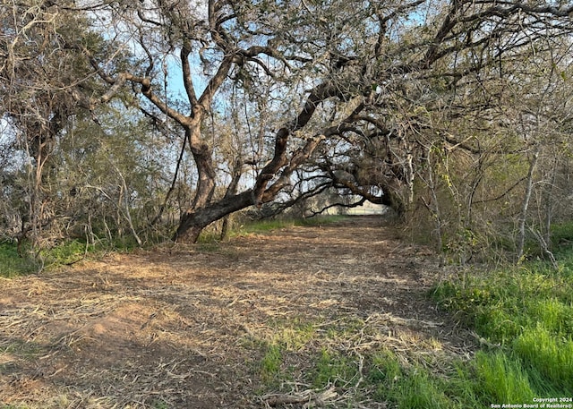 TBA Tejeda Ln, Floresville TX, 78114 land for sale