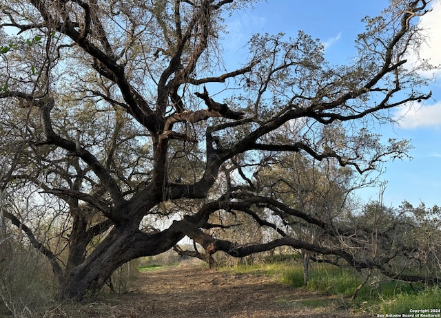 Listing photo 2 for TBA Tejeda Ln, Floresville TX 78114