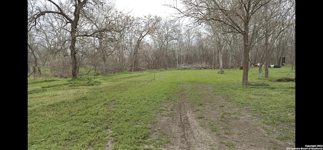 Listing photo 3 for 10252 Obrien Rd, Atascosa TX 78002