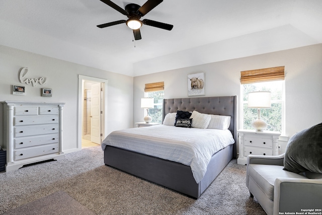 bedroom featuring ceiling fan, ensuite bathroom, carpet flooring, and multiple windows