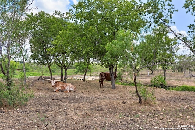 view of nature