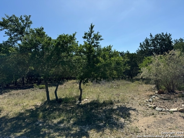 Listing photo 3 for LOT19 Deer Oaks Dr, Lakehills TX 78063