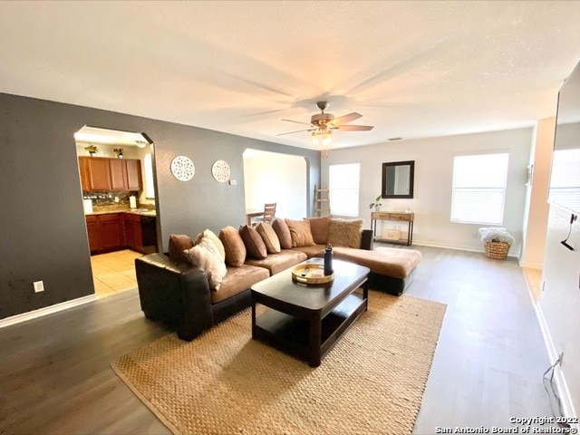 living room featuring ceiling fan, light hardwood / wood-style flooring, and plenty of natural light