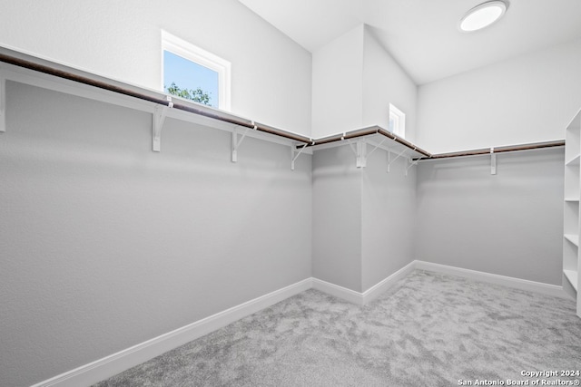 walk in closet with light carpet