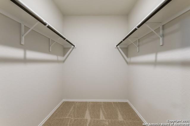 spacious closet with carpet