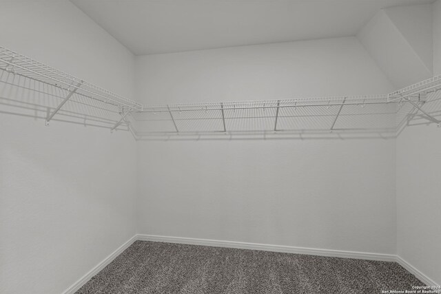 spacious closet featuring carpet flooring