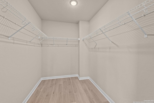 spacious closet with hardwood / wood-style flooring