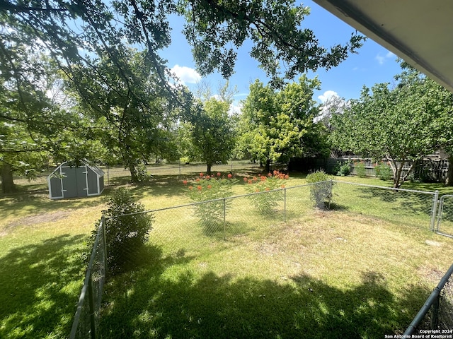 view of yard with a storage shed