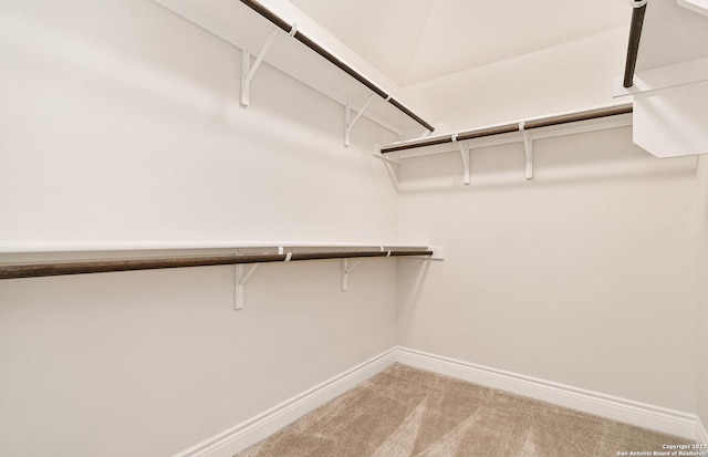 walk in closet with carpet