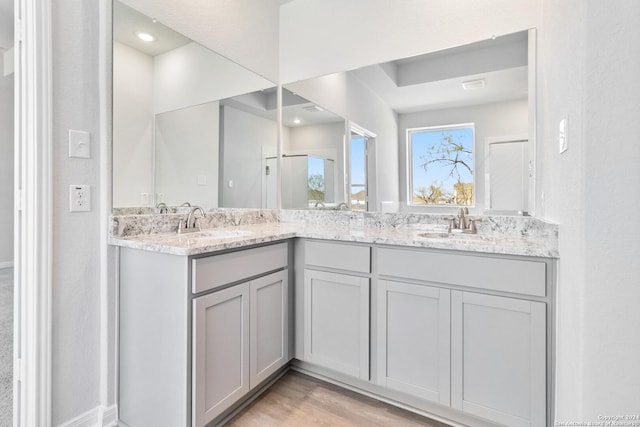 bathroom with vanity, hardwood / wood-style flooring, and a shower with door