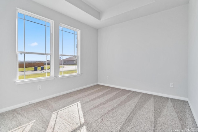 spare room with carpet flooring and a raised ceiling